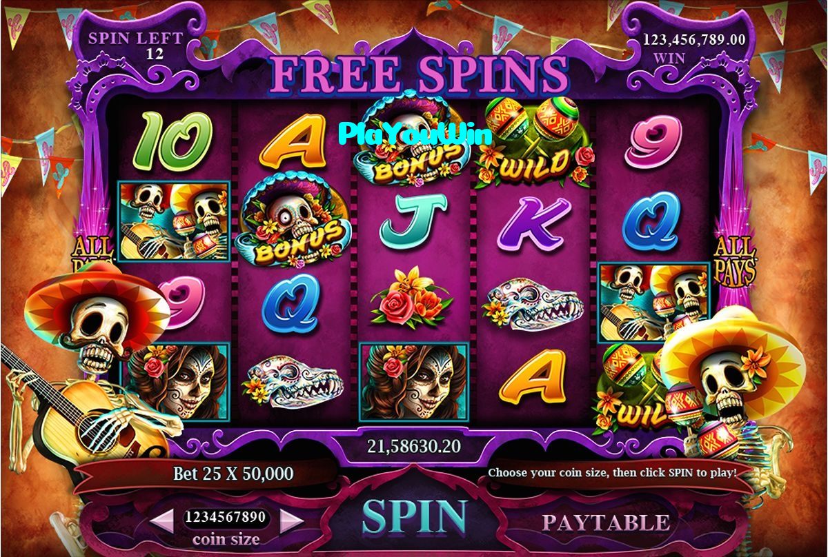 PlaYouWin casino presented on mobile device in Pakistan with slots and live games